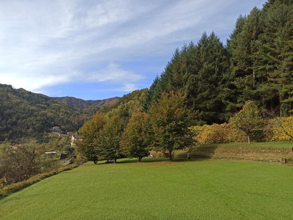 BorzonascaIl Bosco Di Campo Marzano Sunlight公寓 外观 照片