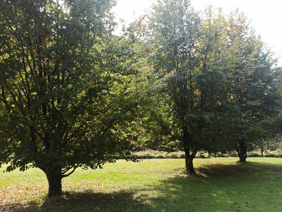 BorzonascaIl Bosco Di Campo Marzano Sunlight公寓 外观 照片