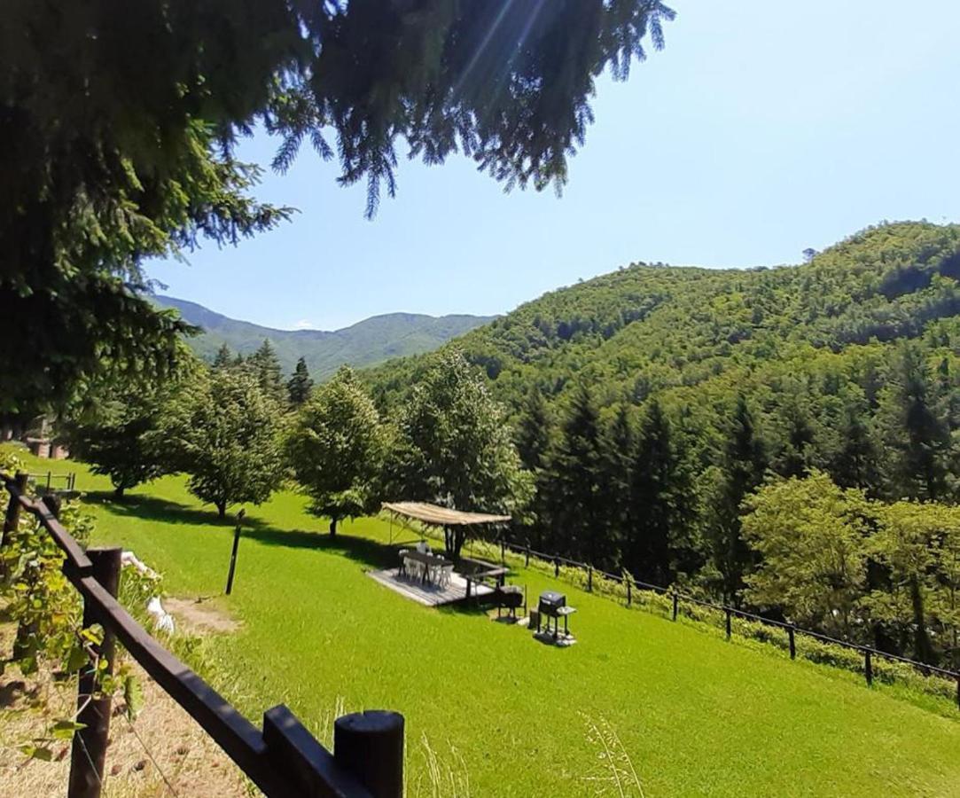 BorzonascaIl Bosco Di Campo Marzano Sunlight公寓 外观 照片