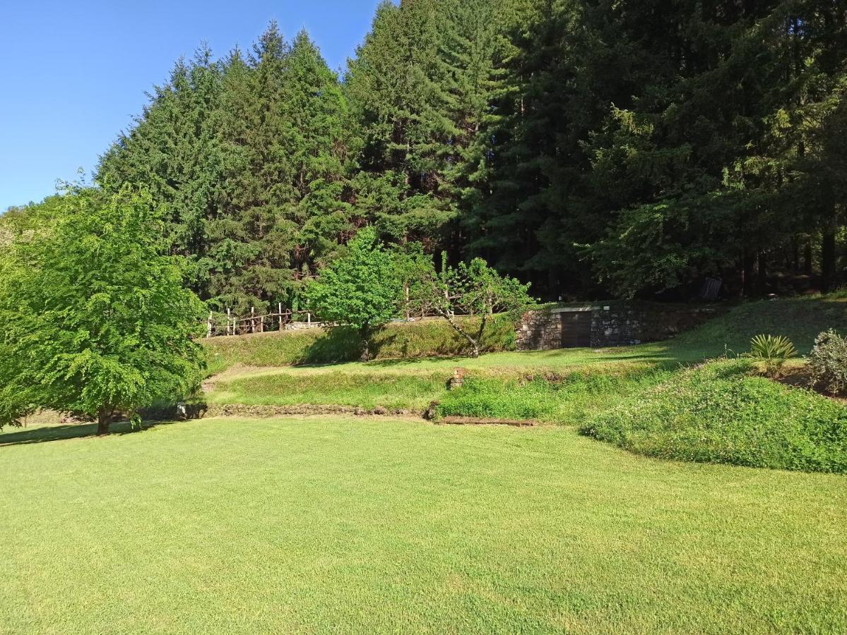 BorzonascaIl Bosco Di Campo Marzano Sunlight公寓 外观 照片