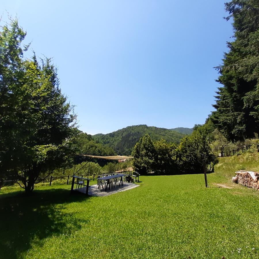 BorzonascaIl Bosco Di Campo Marzano Sunlight公寓 外观 照片